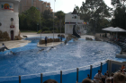 thumbs/seaworld 004.png